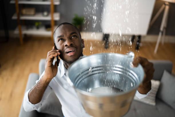 Best Ceiling water damage repair  in Indian Lake, MO