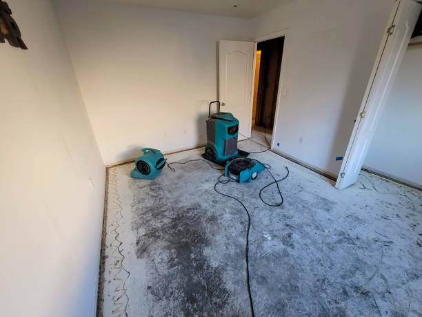  Indian Lake, MO Water damage restoration Pros