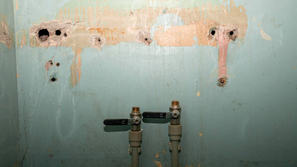 Best Mold removal after water damage  in Indian Lake, MO